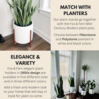 Fox & Fern Mid Century Plant Stands for Indoor Planters, Acacia, 14.9 Inch - Image 5