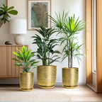 Ceramic Flower Pot for Indoor Plants - 10 Inch Plant Pot with Drainage Hole and Saucer, Decorative Round Outdoor Indoor Planter, Housewarming Gifts, Home Garden Decor, Gold - Image 7