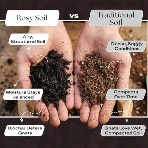 Rosy Soil Biochar Booster, Biochar Soil Amendment, 8 Quarts - Image 3