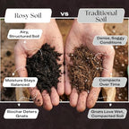 Rosy Soil Biochar Booster, Biochar Soil Amendment, 8 Quarts - Image 3