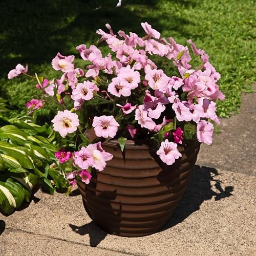 Sunnydaze Ribbed 16-Inch Double-Walled Outdoor Plant Pot - Rust - Image 4