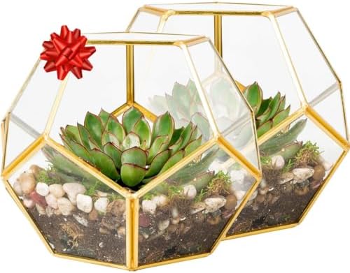 D'Eco Glass Gold Sphere Plant Terrariums & Centerpieces, 2 Pack - Image 4