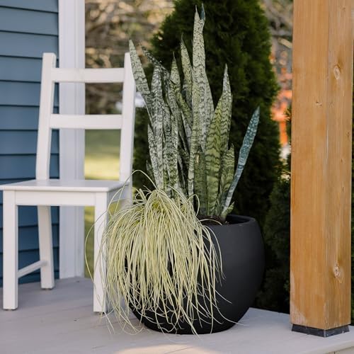 Beuta Large Poly Planters for Outdoor Plants - Set of 3, 8/12/14 Inches Outdoor Planters for Porch - Tall Planter for Outdoor & Indoor Plants | Large Indoor Plant Pot - USA Made - Black - Image 3