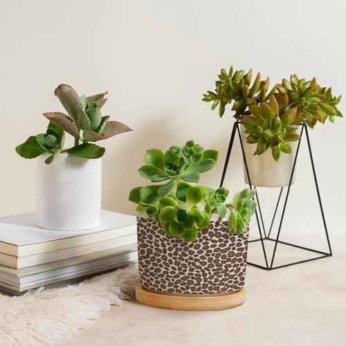 Leopard Brown Dot Planters Ceramic African Tribal Animal Print Round Flower Pot with Drainage Holes and Bamboo Tray Pot for Succulents Cactus Garden Windowsill - Image 4