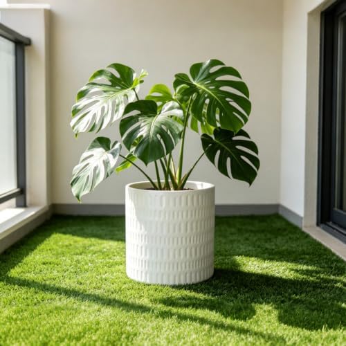 10 Inch Ceramic Plant Pot with Drainage - Image 6
