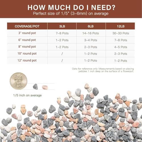NUPICK 12 lbs Pebbles for Indoor Plants, 1/5 Inch Pea Gravel for Fish Tank - Image 6
