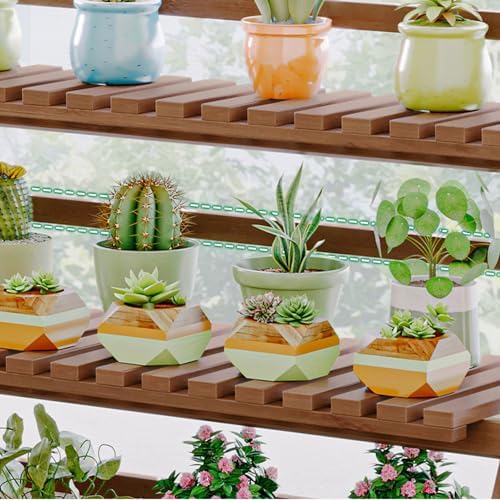 HUHJYUGE Bamboo Plant Stand Flower Pots Holder Display Shelf, Ladder Shelf Plants Organizer Rack for Patio Balcony Garden Home, Bookcase Planter Storage Shelving (2 Tiers 52cm) - Image 3
