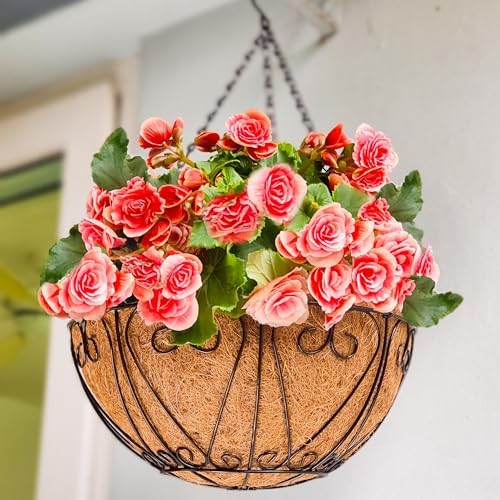 LaLaGreen Coco Hanging Baskets (18 in, 2 Pack) Black Wire Flower Pot Holder by L%C3%A1L%C3%A1Green