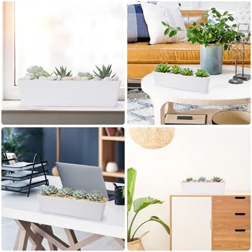 GREANER Long Window Boxes Planters, 6 Pack 16x3.8 Inch Vegetable Box Pot with Tray, Indoor Succulent Cactus Flowers Plastic Rectangle Pot for Balcony, Office, Garden, Outdoor, Windowsill - White - Image 6