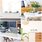 GREANER Long Window Boxes Planters, 6 Pack 16x3.8 Inch Vegetable Box Pot with Tray, Indoor Succulent Cactus Flowers Plastic Rectangle Pot for Balcony, Office, Garden, Outdoor, Windowsill - White - Image 6