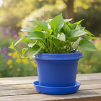 Flower Pots with Saucers, 7 inch Sea Blue, Case of 5 - Image 4