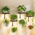 iDavosic.ly Plant Wall Hanger with Grow Lights Set of 4 for Indoor, Black by iDavosicly