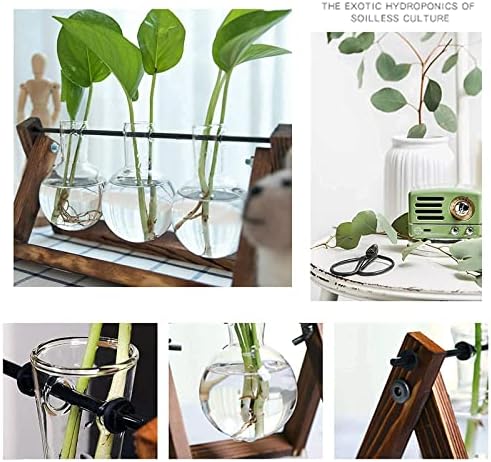 XXXFLOWER Plant Terrarium with Wooden Stand - 3 Bulb Vase + Glass Plant Mister Spray Bottle for Indoor Plant Spritzer - Image 7