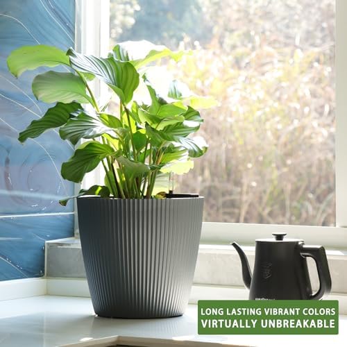 Dexceder 11x10 Self Watering Planters Indoor (2 Pack, Gray) - Image 6