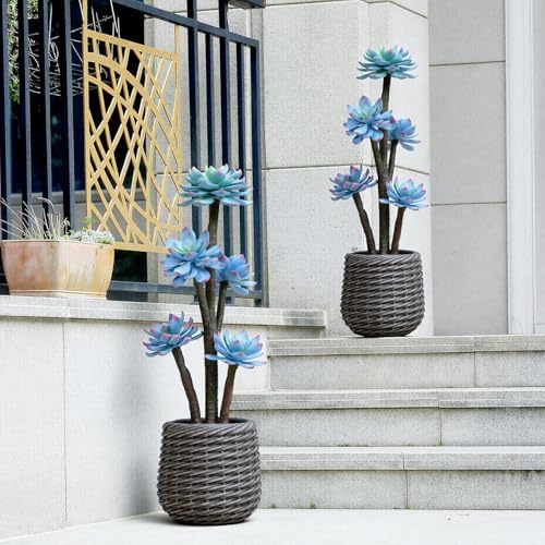 Artificial Succulents Plants 2ft, Blue Fake Cactus Plant with Brown Pot, Large Faux Floor Plant UV-Resistant for Home Office Hotel Patio Balcony or Garden Indoor Outdoor Desert Decor - Image 5