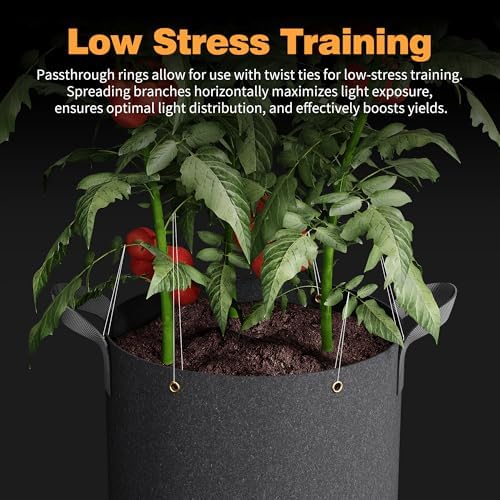 Patigrow Self-Watering Grow Bags, 5-Pack 5 Gallon 420G Thick Nonwoven Fabric Pots with Reinforced Handles and Multi-Purpose Rings, for Low Stress Plant Training Fruits, Vegetables,and Flowers - Image 4