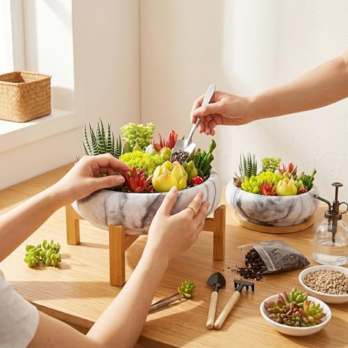 ARTKETTY Succulent Pots- 7.3/10 Inch Large Plant Pots Set of 2 - Image 6