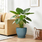 10 Inch Plant Pot, Ceramic Flower Pots with Saucer, Glaze Blue - Image 4