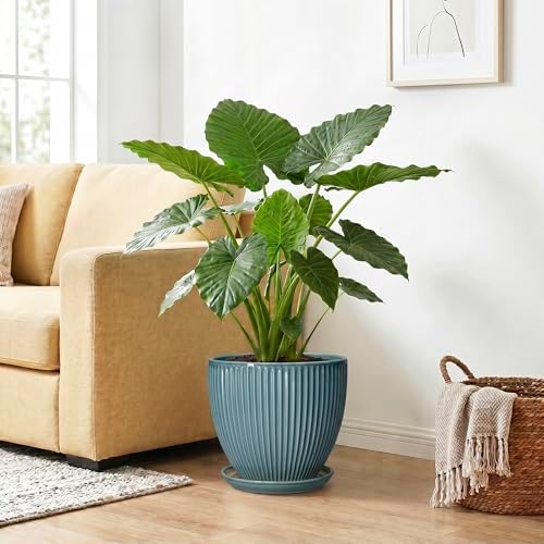 10 Inch Plant Pot, Ceramic Flower Pots with Saucer, Glaze Blue - Image 4