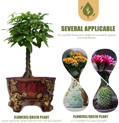 DOITOOL Ceramic Succulent Pot Unique Retro Money Tree Flower Pot Indoor Plant Holder Bonsai Tree Planter Decorative Flowerpot for Home Decoration,7.48 X 6.29 X 4.92 Inches - Image 6