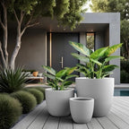 Kante Set of 3 White Concrete Bowl Round Planters for Modern Home - Image 5