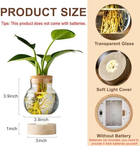 Propagation Stations, Plant Propagation Station with Light Base, Glass Propagation Vases, Hydroponic Vase for Plants, Glass Terrarium for Home Office Windowsill Tabletop Decoration (7) - Image 2