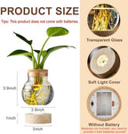 Propagation Stations, Plant Propagation Station with Light Base, Glass Propagation Vases, Hydroponic Vase for Plants, Glass Terrarium for Home Office Windowsill Tabletop Decoration (7) - Image 2