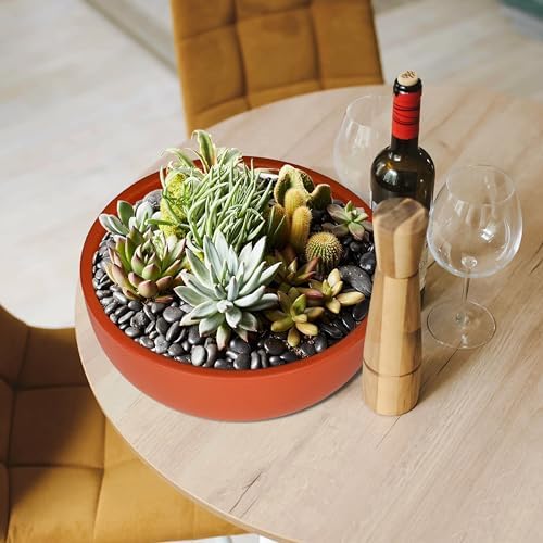 SQOWL 10 Inch Large Terracotta Planter Pot,Clay Succulent Bonsai Planter with Drainage Hole and Bamboo Saucer for Indoor Plants - Image 4