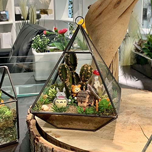 WGV Hanging Geometric Planter Terrarium Bulk Width 6" Height 8" Clear Glass Black Frame DIY Succulent air Plant Miniature Fairy Garden Windowsill Decor Raised Pyramid 6 Pieces - Image 4