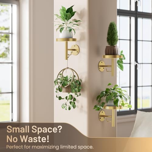 YUOROS 3 Pack Wall Plant Holder Stand Wall Planters for Indoor Plant (Gold) - Image 2