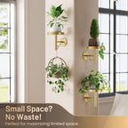 YUOROS 3 Pack Wall Plant Holder Stand Wall Planters for Indoor Plant (Gold) - Image 2