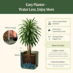 15 Inch Self-Watering Planter for Indoor Plants – Large Modern Plant Pot with Built-In Water Reservoir, Ideal for Monstera, Fiddle Leaf Fig, Palms & Peace Lily, Without Trellis (2, Fog Gray) - Image 7