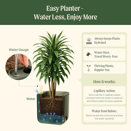 15 Inch Self-Watering Planter for Indoor Plants – Large Modern Plant Pot with Built-In Water Reservoir, Ideal for Monstera, Fiddle Leaf Fig, Palms & Peace Lily, Without Trellis (2, Fog Gray) - Image 7