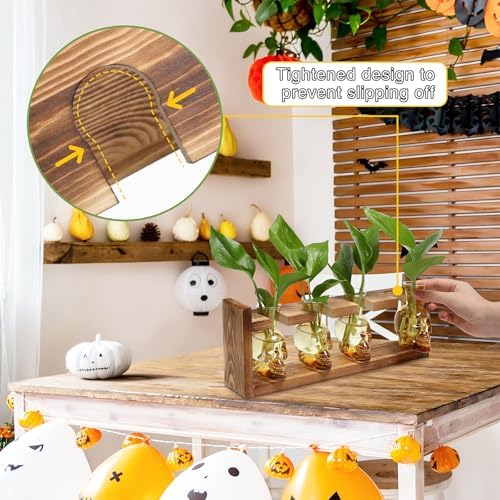 Plant Propagation Stations Halloween Skull Plant Terrarium Kit - Image 2