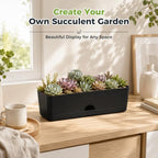 6 Pack Rectangle Planter 16x4.4 Inch Window Boxes Planters Rectangular Window Sill Planters Indoor Self Watering Plant Pots with Drainage Holes and Saucers Succulent Herb Flower Pots, Black - Image 4