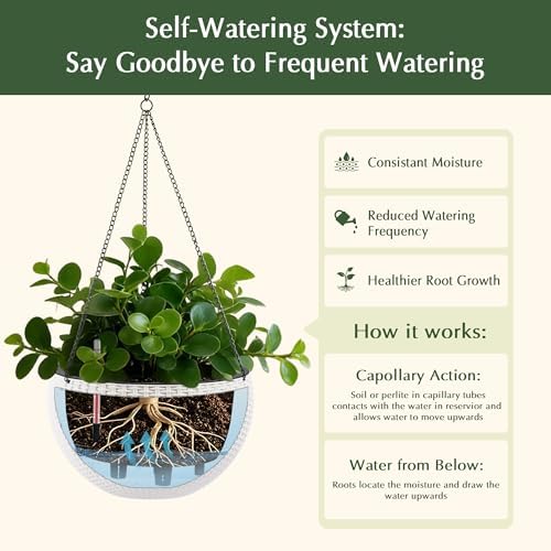 13.5 inch 2Pack Large Hanging Planters for Outdoor/Indoor Plants, Self Watering Hanging Pot with Water Level Indicato, Drainage Holes and Chain for Garden Porch, White - Image 4