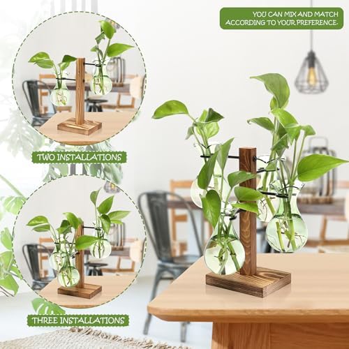 Plants Propagation Stations Bulb Glass Propagation Birthday Gift for Women - Image 4
