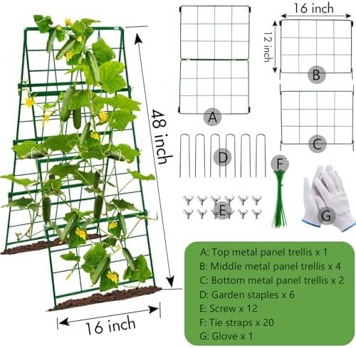 Heavy Duty Cucumber Trellis Thickened for Raised Garden Bed,48"x16" Foldable Frame Metal Vegetable Trellis for Climbing Plants Outdoor Plant Support for Grape Tomato Peas, Fruit, Vine,Bean(1 Pack) - Image 5
