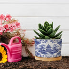 Chinoiserie Blue Asian Ceramic Planters Chinoiserie Chic Asian Snake Plant Live Indoor with Pot with Drainage Holes and Saucers Pot for Home Office Decoration - Image 5