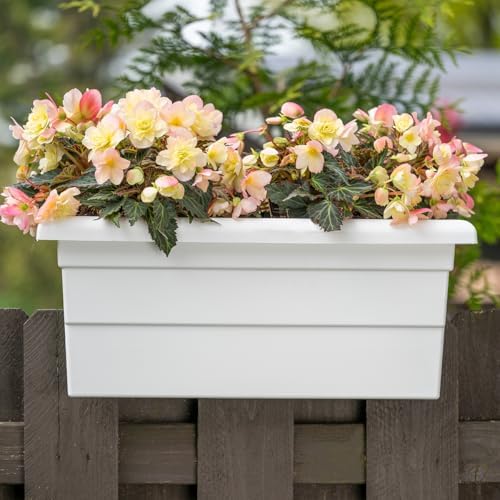 Root & Vessel Countryside Railing Planter Box, 24 Inch, White - Image 2