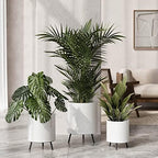 EverNest Claire Honeycomb Neutral Modern White Planter with Nyra Stand, Indoor Plant Pots, SelectBase, Mid-Century Modern, Boho Style Home Decor for Plants (Set of 3, Black) - Image 2