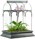 H Potter Large Glass Terrarium 22 Inch Tall, Curved Glass Wardian Case Planter with Resin Base, Indoor Display for Orchids Ferns Succulents, Removable Top by HPotter