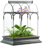 H Potter Large Glass Terrarium 22 Inch Tall, Curved Glass Wardian Case Planter with Resin Base, Indoor Display for Orchids Ferns Succulents, Removable Top by HPotter