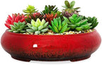 ARTKETTY Succulent Pots - 11.5 Inch Ceramic Bonsai Pots with Drainage by ARTKETTY