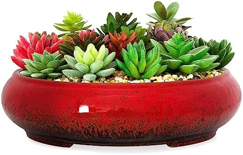 ARTKETTY Succulent Pots - 11.5 Inch Ceramic Bonsai Pots with Drainage by ARTKETTY