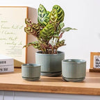 SURE YUESI Ceramic Plant Pots Set of 3, Indoor Outdoor Planters with Drainage Hole and Saucer, Ceramic Flower Pots for Indoor Plants, 4.3+5.5+6.8 Inch, Home, Garden, Patio and Office, Matte Green - Image 4