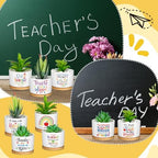 Domensi 9 Pcs Teacher Appreciation Gifts Bulk Ceramic Succulent Plant Pot - Image 3