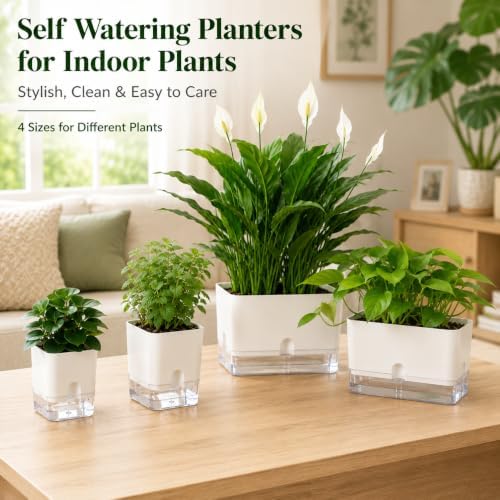 Planterhoma Self Watering Plant Pots for Indoor Plants 10 inch, 3 Packs Rectangle Self-Watering Planters with Drainage Hole, White African Violet Pots for Devil's Ivy, Spider Plant, Orchid, Herb - Image 2