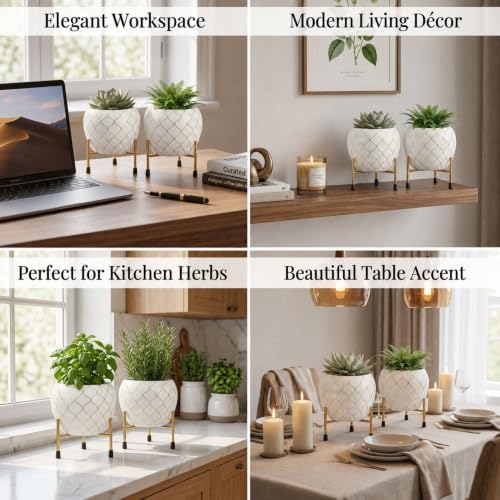 Metal Indoor Planter for Succulents with Drainage Hole and Cocopeat Disc, Set of 2 for Home Decor. (White & Gold) - Image 3