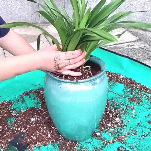 Repotting Mat 1pcs Planting Mat Gardening Potting Pad Foldable Garden Plant Flower Pot Transplanting Waterproof Mats 50cm-100cm - Image 5